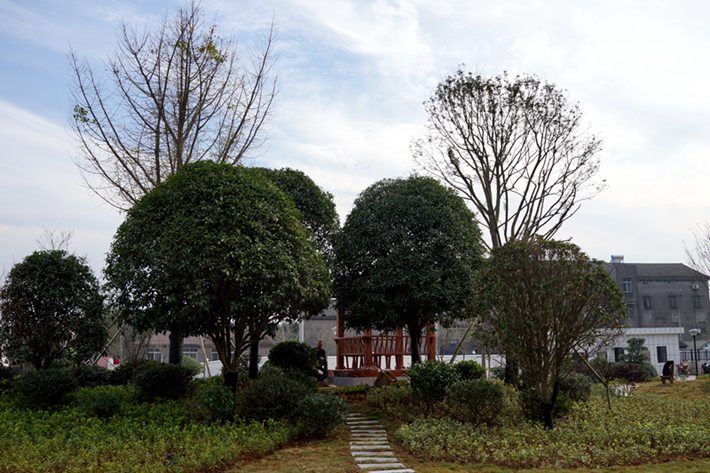 厂区5.jpg